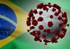 Brasil registra 66,2 mil casos de covid-19 e 261 mortes em 24 horas