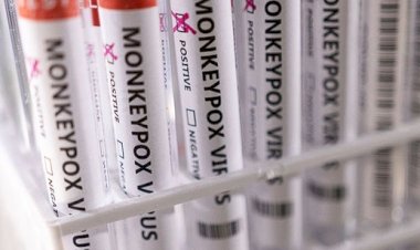 Brasil salta de um para mais de 3.000 casos de varíola do macaco em dez semanas