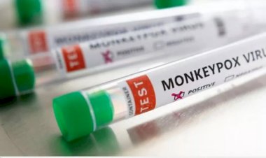 VARÍOLA DOS MACACOS AUMENTA NA BAHIA