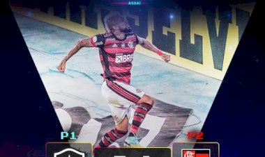 Flamengo vence Botafogo e retorna à vice - Liderança  do Brasileirão