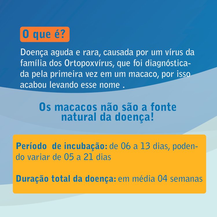 Saiba com riqueza de detalhes sobre a Varíola dos macacos.
